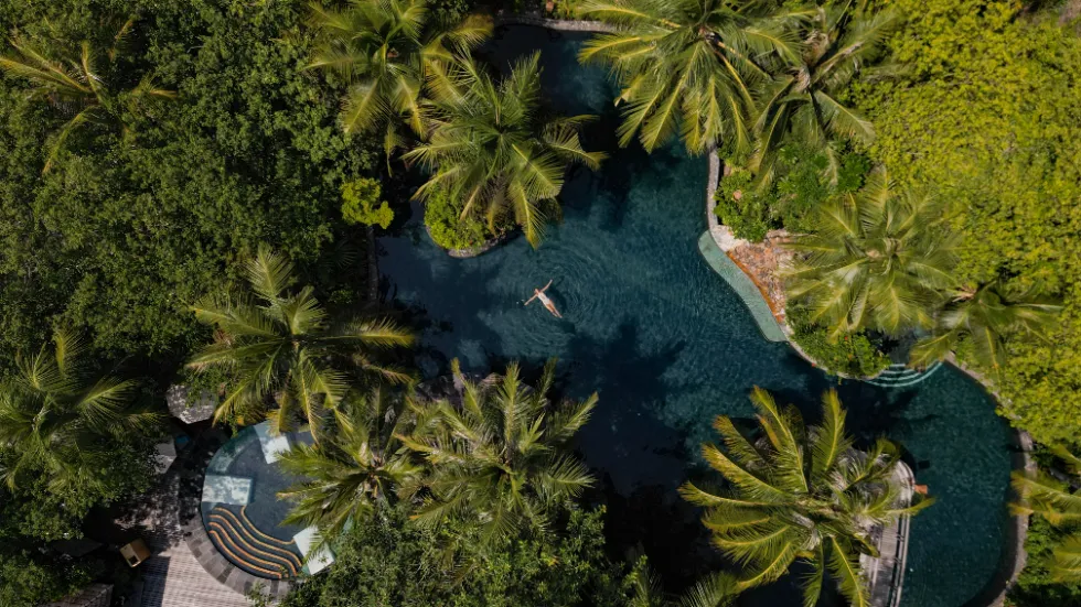 DAVID CHRISTPHER MILLER エンチャンテッド ウォーター DAVID